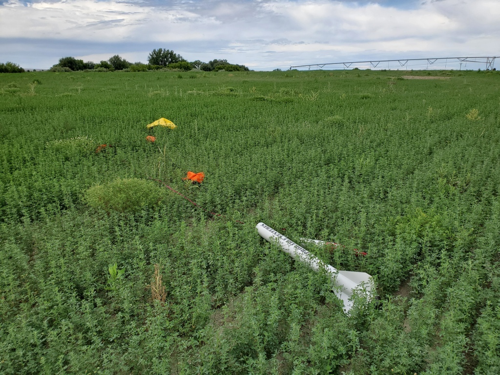 white rocket with orange and yellow parachutes lying on ground in green field